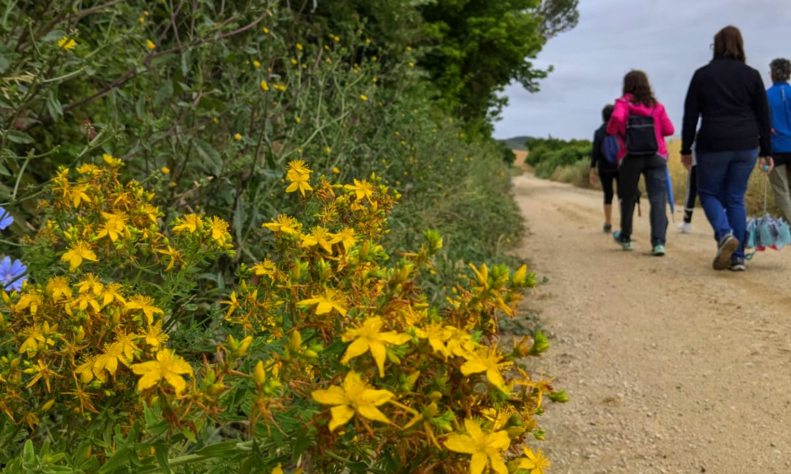 Albergue Mesón del Camino